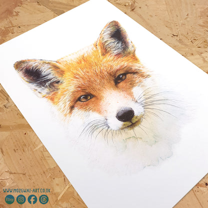 Fox Portrait Art Print