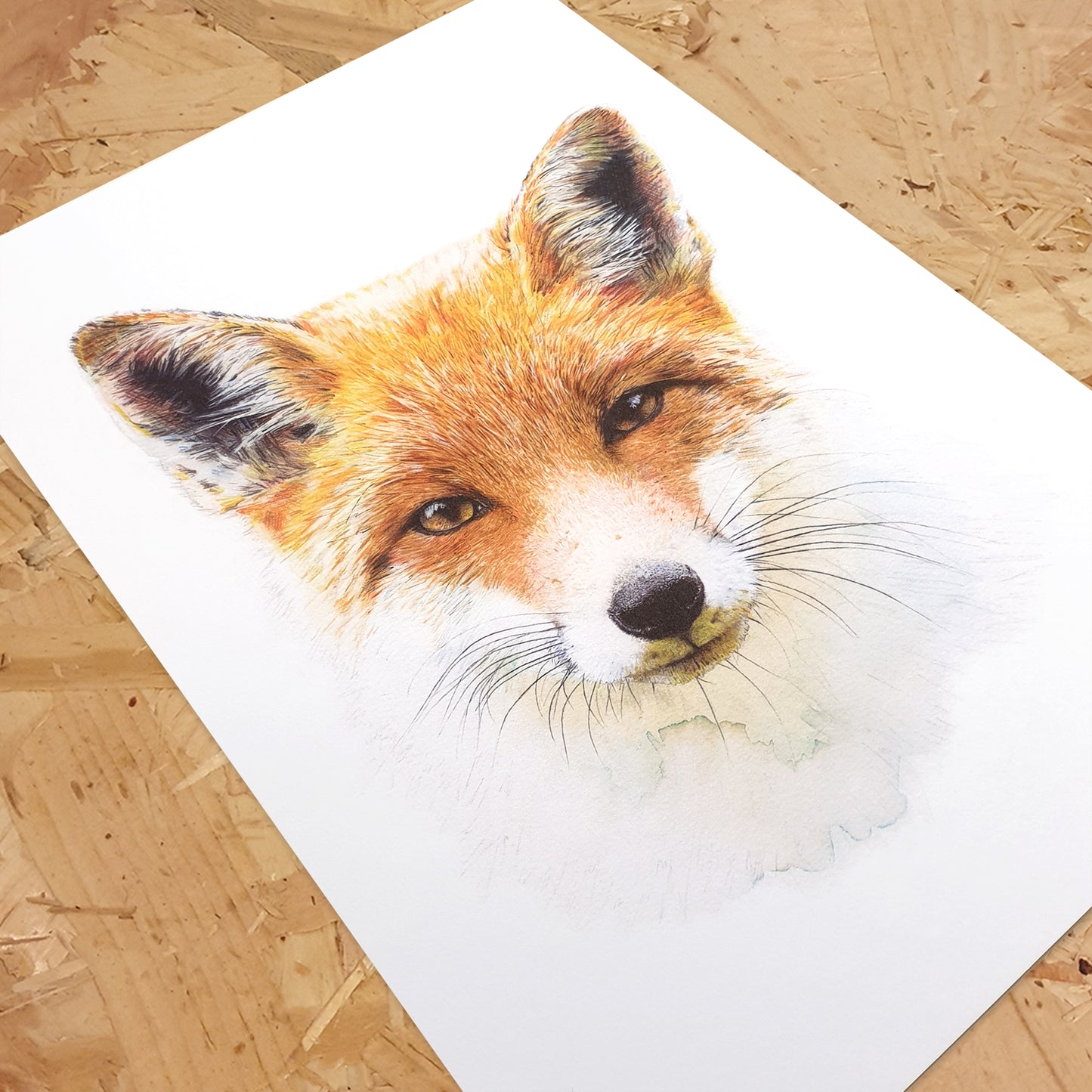 Fox Portrait Art Print | Wildlife Animal Wall Art | Nature Decor