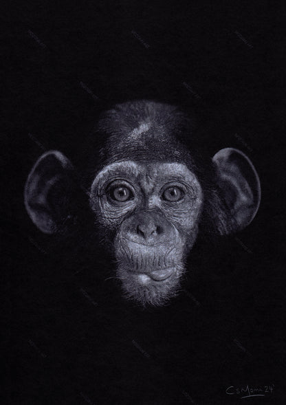 Portrait de singe Impression artistique