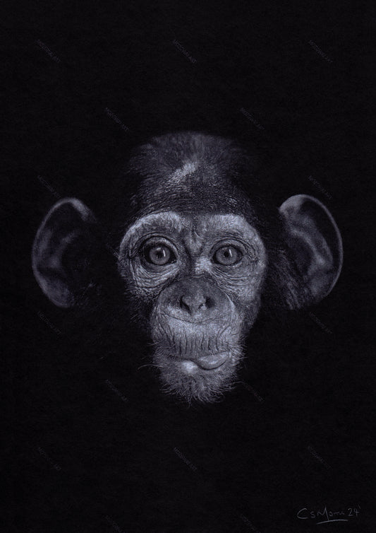 Monkey Portrait Art Print