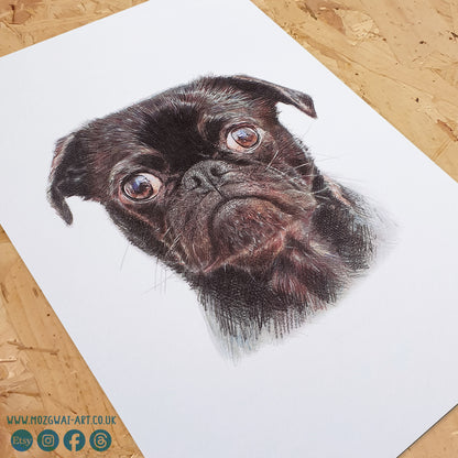 Pug Portrait Art Print