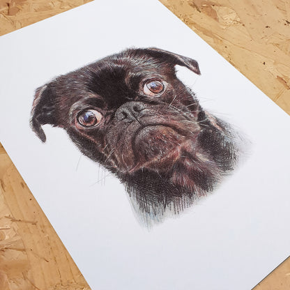 Retrato de Pug Lámina artística