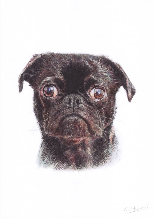 Cute Pug Art Print | Dog Wall Art | Funny Pug Portrait