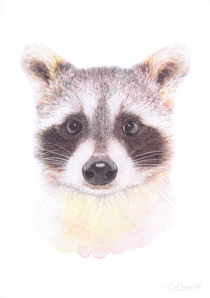 Racoon Portrait Art Print