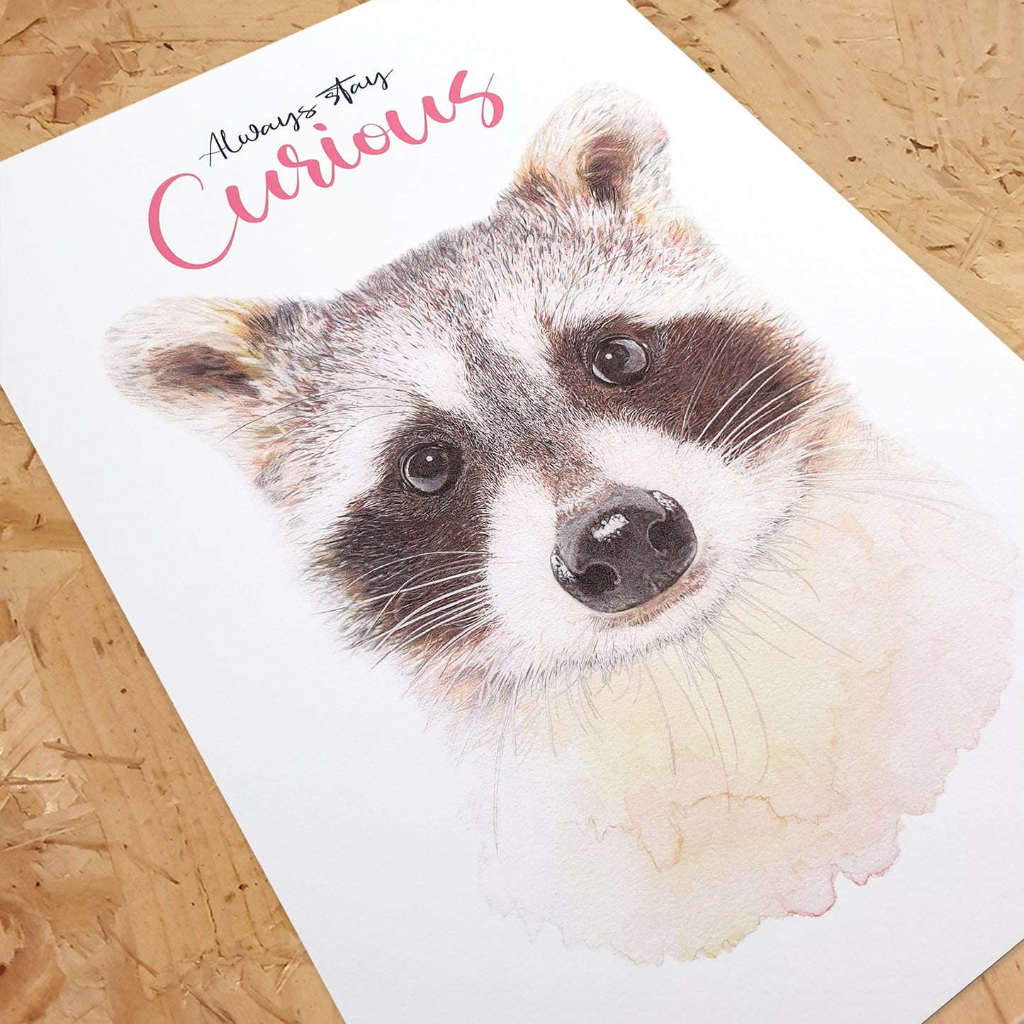 Restez curieux du raton laveur Impression artistique