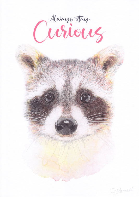 Stay Curious Racoon Art Print