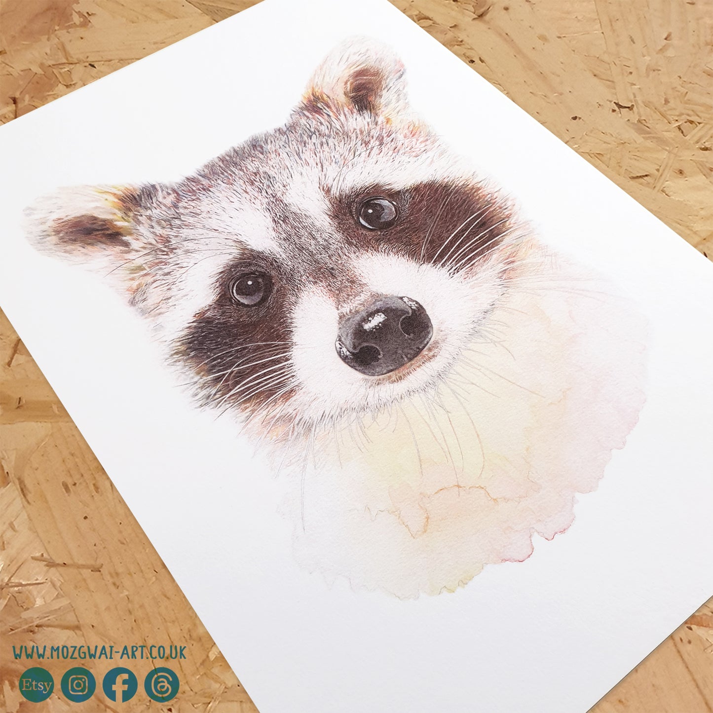 Racoon Portrait Art Print