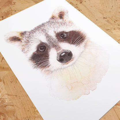 Retrato de mapache Lámina artística