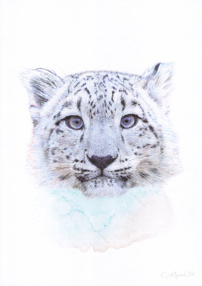 Retrato de leopardo de las nieves Lámina artística