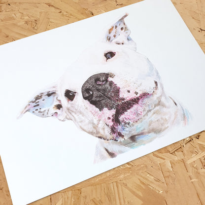 Staffy blanco Lámina artística