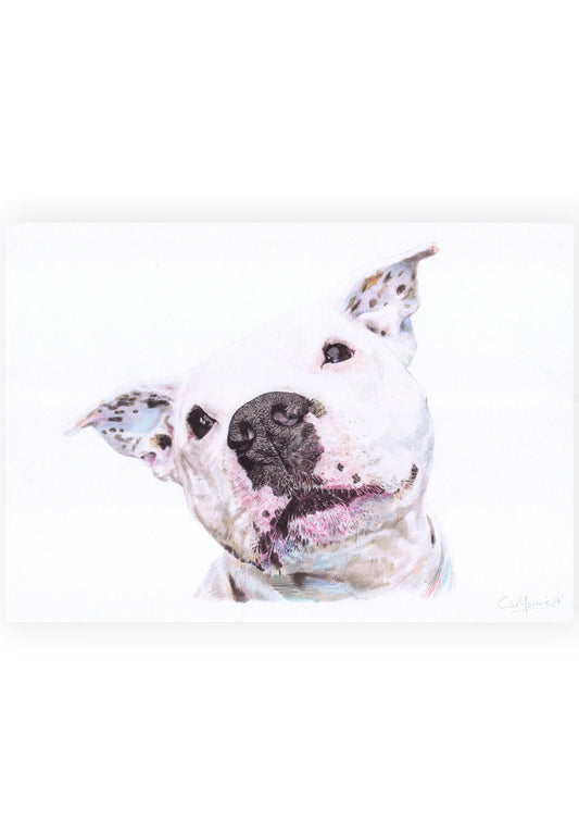 White Staffy Art Print